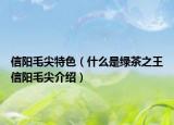 信陽(yáng)毛尖特色（什么是綠茶之王信陽(yáng)毛尖介紹）