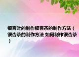 銀杏葉的制作銀杏茶的制作方法（銀杏茶的制作方法 如何制作銀杏茶）