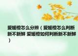 愛(ài)媛橙怎么分辨（愛(ài)媛橙怎么判斷新不新鮮 愛(ài)媛橙如何判斷新不新鮮）