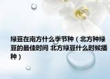 綠豆在南方什么季節(jié)種（北方種綠豆的最佳時間 北方綠豆什么時候播種）