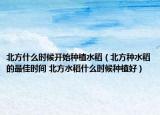 北方什么時(shí)候開始種植水稻（北方種水稻的最佳時(shí)間 北方水稻什么時(shí)候種植好）