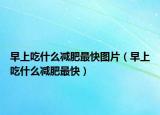 早上吃什么減肥最快圖片（早上吃什么減肥最快）