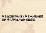 華北地區(qū)何時種小蔥（華北種小蔥的最佳時間 華北種小蔥什么時候最合適）