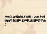 甲魚怎么看新鮮不新鮮（怎么判斷吃的甲魚新鮮 怎樣挑選新鮮的甲魚）