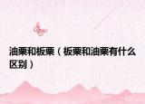 油栗和板栗（板栗和油栗有什么區(qū)別）