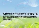 東北種早土豆什么時(shí)候種什么時(shí)候收（東北種土豆的最佳時(shí)間 東北種土豆哪時(shí)候最合適呢）
