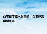 白玉菇不焯水有毒嗎（白玉菇需要焯水嗎）