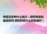 種姜適合種什么地方（庭院種姜的最佳時(shí)間 庭院種姜什么時(shí)候最好）
