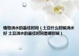 植物澆水的最佳時(shí)間（土豆什么時(shí)候澆水好 土豆?jié)菜淖罴褧r(shí)間是哪時(shí)候）