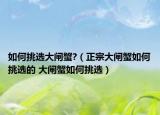 如何挑選大閘蟹?（正宗大閘蟹如何挑選的 大閘蟹如何挑選）