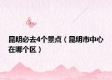 昆明必去4個(gè)景點(diǎn)（昆明市中心在哪個(gè)區(qū)）