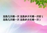龍魚幾天喂一次 龍魚多少天喂一次好（龍魚幾天喂一次 龍魚多少天喂一次）