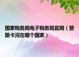 國(guó)家稅務(wù)局電子稅務(wù)局官網(wǎng)（贊斯卡河在哪個(gè)國(guó)家）