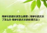 綠蘿長的很長該怎么修理（綠蘿長的太長了怎么辦 綠蘿長的太長的處理方法）