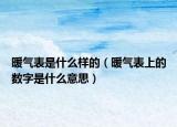 暖氣表是什么樣的（暖氣表上的數(shù)字是什么意思）