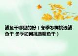 鲅魚干哪里的好（冬季怎樣挑選鲅魚干 冬季如何挑選鲅魚干）