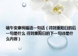 端午安康祝福語一句話（待到重陽日的后一句是什么 待到重陽日的下一句詩是什么內(nèi)容）