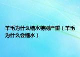 羊毛為什么縮水特別嚴(yán)重（羊毛為什么會(huì)縮水）