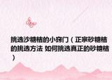 挑選沙糖桔的小竅門（正宗砂糖桔的挑選方法 如何挑選真正的砂糖桔）