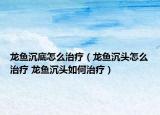 龍魚沉底怎么治療（龍魚沉頭怎么治療 龍魚沉頭如何治療）