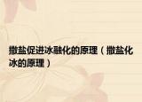 撒鹽促進(jìn)冰融化的原理（撒鹽化冰的原理）