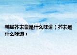鴨屎芥末醬是什么味道（芥末是什么味道）