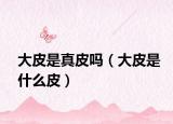 大皮是真皮嗎（大皮是什么皮）