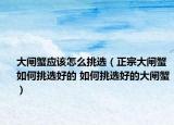 大閘蟹應(yīng)該怎么挑選（正宗大閘蟹如何挑選好的 如何挑選好的大閘蟹）
