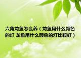 六角龍魚怎么養(yǎng)（龍魚用什么顏色的燈 龍魚用什么顏色的燈比較好）