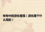 匆匆中的游絲是指（游絲是干什么用的）