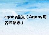 agony含義（Agony網(wǎng)名啥意思）