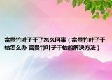 富貴竹葉子干了怎么回事（富貴竹葉子干枯怎么辦 富貴竹葉子干枯的解決方法）