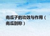 南瓜子的功效與作用（南瓜別稱）