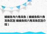 娃娃魚與六角龍魚（娃娃魚和六角龍魚區(qū)別 娃娃魚和六角龍魚區(qū)別介紹）