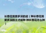 長春花需要多深的盆（種長春花需要多深的土才能種 種長春花怎么種）