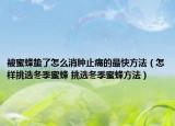 被蜜蜂蟄了怎么消腫止痛的最快方法（怎樣挑選冬季蜜蜂 挑選冬季蜜蜂方法）