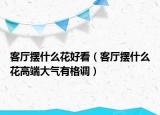 客廳擺什么花好看（客廳擺什么花高端大氣有格調(diào)）