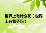 世界上有什么花（世界上有兔子嗎）