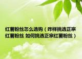 紅薯粉絲怎么選購（咋樣挑選正宗紅薯粉絲 如何挑選正宗紅薯粉絲）