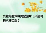 興趣島的六種類(lèi)型圖片（興趣島的六種類(lèi)型）