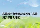 東莞屬于粵港澳大灣區(qū)嗎（東莞屬于粵什么地區(qū)）