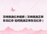 怎樣挑選紅參視頻（怎樣挑選正宗東北紅參 如何挑選正宗東北紅參）