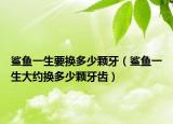鯊魚一生要換多少顆牙（鯊魚一生大約換多少顆牙齒）