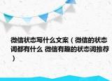 微信狀態(tài)寫什么文案（微信的狀態(tài)詞都有什么 微信有趣的狀態(tài)詞推薦）