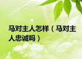 馬對(duì)主人怎樣（馬對(duì)主人忠誠(chéng)嗎）