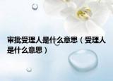 審批受理人是什么意思（受理人是什么意思）