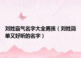 劉姓霸氣名字大全男孩（劉姓簡單又好聽的名字）