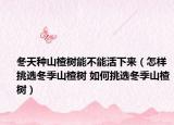 冬天種山楂樹(shù)能不能活下來(lái)（怎樣挑選冬季山楂樹(shù) 如何挑選冬季山楂樹(shù)）