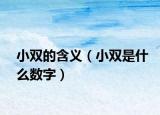 小雙的含義（小雙是什么數字）
