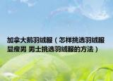 加拿大鵝羽絨服（怎樣挑選羽絨服顯瘦男 男士挑選羽絨服的方法）